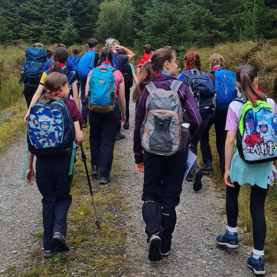 Dungarvan Scouts on a hike in the woods
